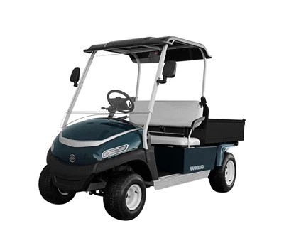 고전력 골프 카트